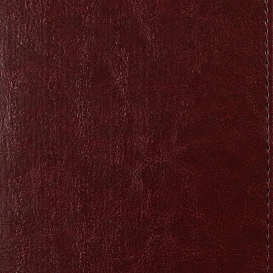 Ежедневник недатированный А5, Sidney Nebraska бордовый, 136 л. 3-128/01