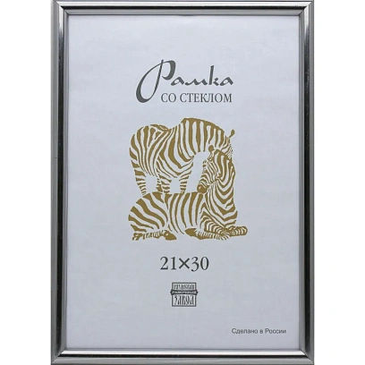 Рамка пластиковая А 4 серебряного цвета 513