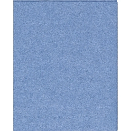 Салфетки хозяйственные Luscan Professional виск 90г/м2 30х38 5шт/уп голубые