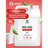 Чистящее средство WC-gel (канистра 5,3 кг)