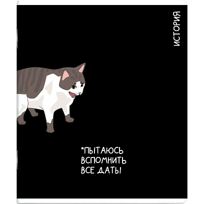 Тетрадь предметнaя ИСТОРИЯ 'КОТЫ МЕМЫ' 48 л., А5+,клетка, справ.инф/69823