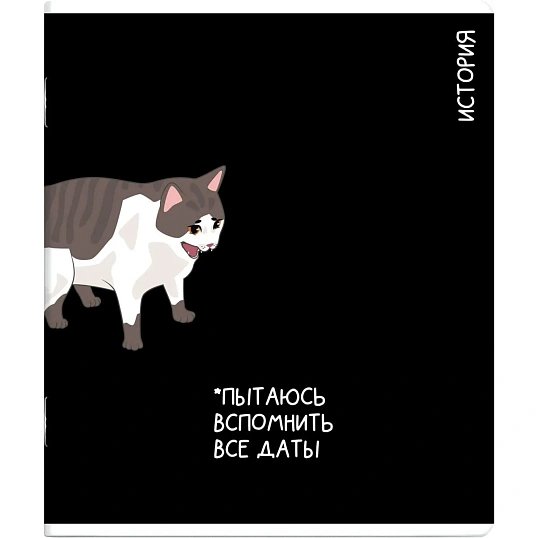 Тетрадь предметнaя ИСТОРИЯ 'КОТЫ МЕМЫ' 48 л., А5+,клетка, справ.инф/69823
