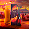 Аромадиффузор Passion Breesal  'Манговый шейк' 70мл, BR0031