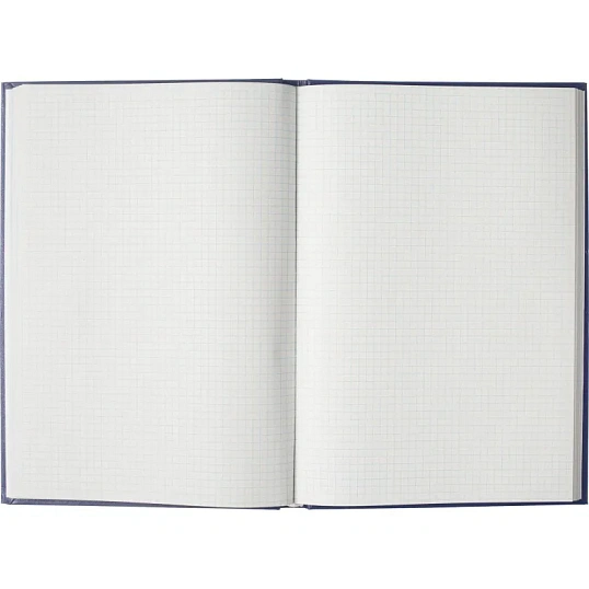 Книга учета Выбор есть А4 96л клетка блок типограф бумвинил