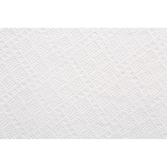 Полотенца бумажные д/держ.FOCUS Jumbo с ЦВ 2сл.125м 6рул 5036772