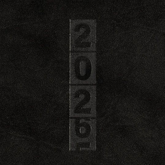 Ежедневник датированный 2026 ESCALADA А6+ (126х174мм), 176л, черный 70297