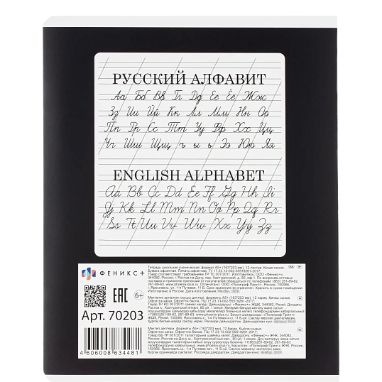 Тетрадь 12л., косая линия,А5+ ОГНЕННЫЙ ДРАЙВ,ассортимент 70203