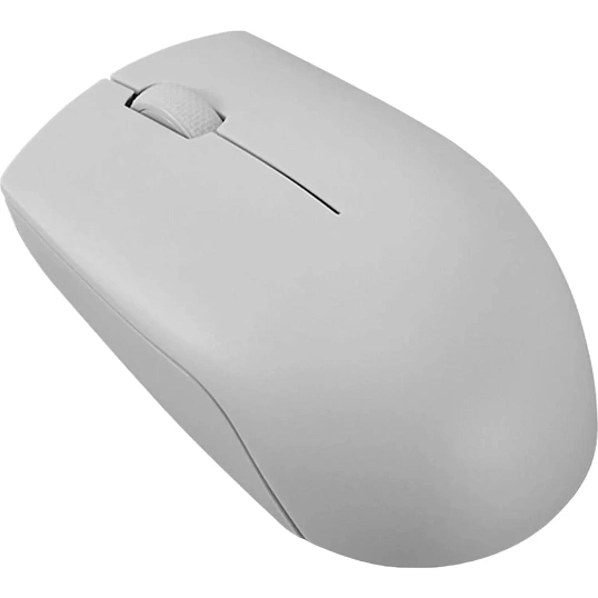 Мышь компьютерная Lenovo беспров. 300 серый (GY51L15678)
