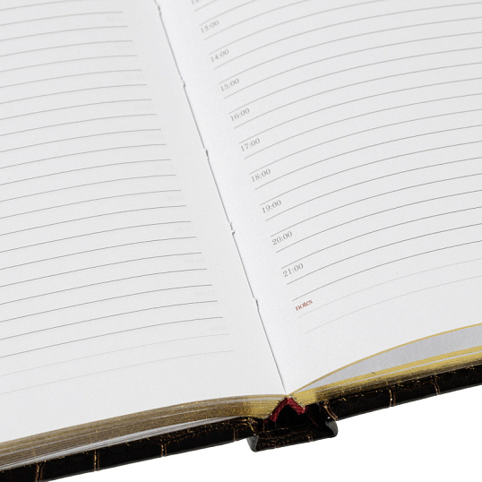 Ежедневник недатированный А6+ Caiman (коричневый)3-498 Д