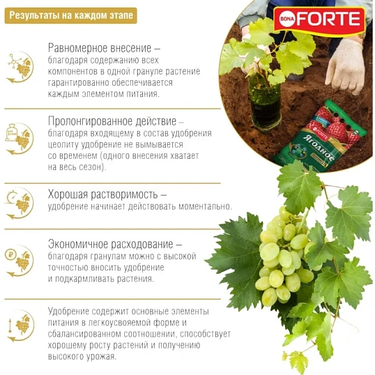 Удобрение Bona Forte гранулированное Хвойн. с кремнием,пакет5 кг,BF23010421
