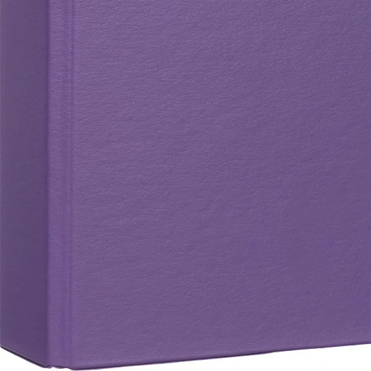 Папка на 2-х кольцах 35мм сиреневый , Россия