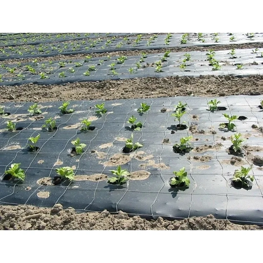 Пленка укрывная рукав ПВД 35мкм, 1,8х50м черная, 2сорт,толщ. рукава 70 мкм