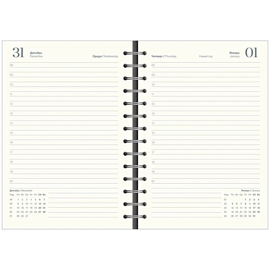 Ежедневник датированный 2026 IF 14х20см 160л, на спир, Basic I1751emb/blue