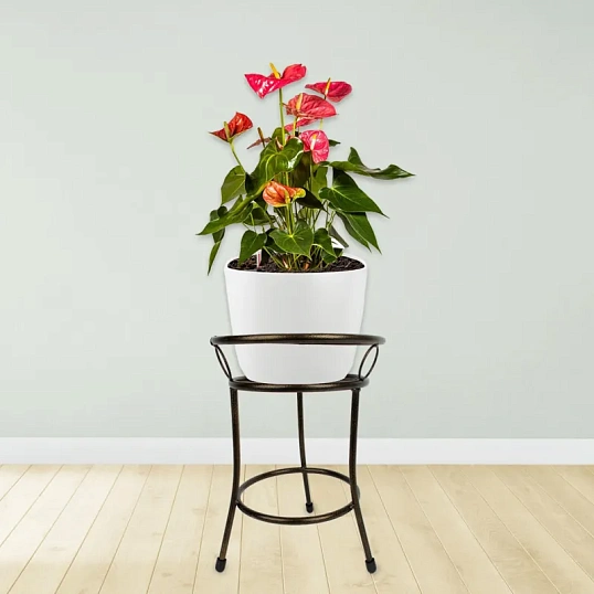 Подставка для цветов 'Пион', 1 г., бронза, 1/1, Ц6