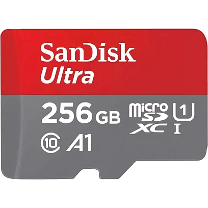 Карта памяти SanDisk SD SDXC Cl.10 UHS-I U1 Ultra100MB/s SDSDUNR-256G-GN3IN