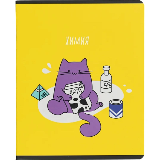 Тетрадь предметная набор Комус Класс  Котики 12 шт., 48., А5