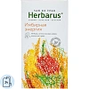 Чайный напиток напиток Herbarus, Имбирная Энергия,  24пак