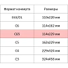 Конверт 5 цветов C65 стрип 114х229 120г КОМУС 10шт/уп