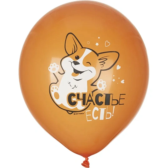 Набор шаров WHITE&ORANGE Корги СДР 5шт/уп в ассортимен M 12/30см 6073138