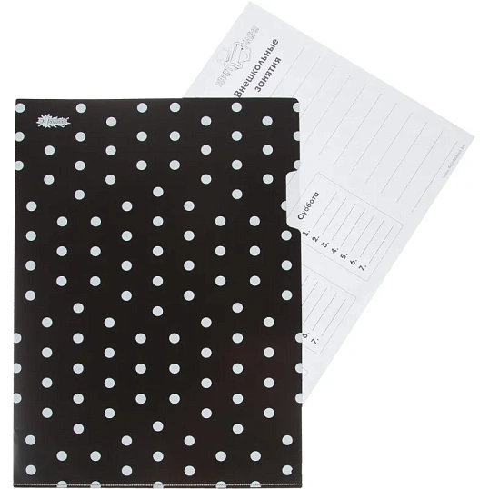 Папка уголок А4, №1 School Аниме Готика, А4, 180 мкм, 3шт/уп