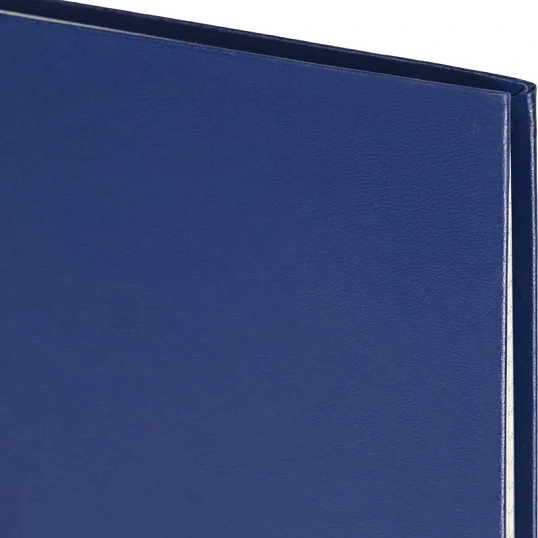 Книга учета Выбор есть А4 96л клетка блок типограф бумвинил