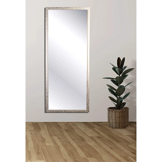 Зеркало МГЛ_ настенное НБ54 (504x1204) багет ПЛС теплое серебро