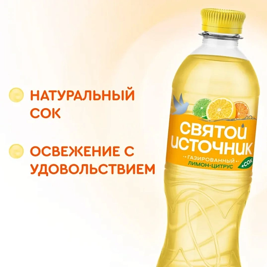 Напиток Святой Источни Вода + Сок со вкусом цитрусов, газ ПЭТ 0,5л