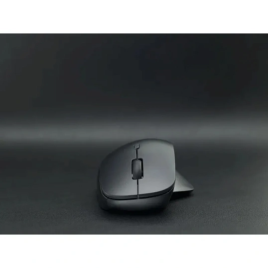 Мышь компьютерная RAPOO (M50PLUS-BL) беспроводная черная