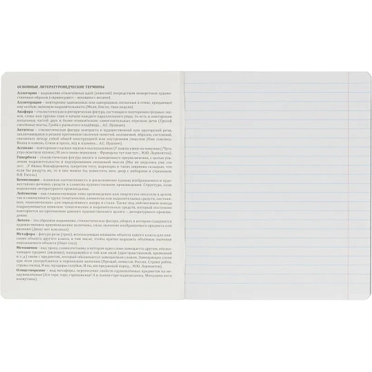 Тетрадь предметная набор Комус Класс  Минимализм 12 шт., 48., А5