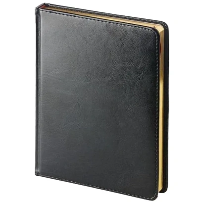 Ежедневник недатированный А6 110х155 Sidney Nebraska чер 272с 3-49 3-496/02