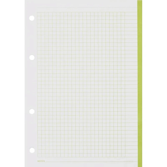 Сменный блок для тетрадей на кольцах, BeSmart А5 120л клетка Цветной N001d