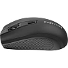 Мышь компьютерная CANYON беспров. MW-7 черный (CNE-CMSW07B)