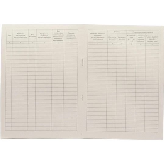 Журнал регистрации инструктажа по технике безопасности 2025