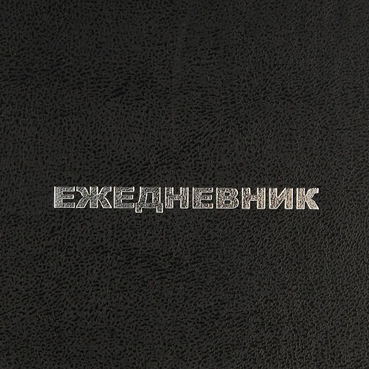 Ежедневник недатированный ,бумвинил,черный,А6,105х140мм,128л
