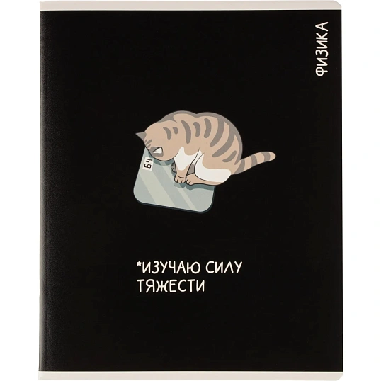 Тетрадь предметная КОТЫ МЕМЫ, набор12 шт.48л,А5+, клетка/линия/71449