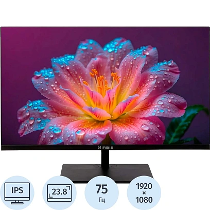 Монитор IRBIS MIR View24 23.8''(FHD,IPS,VGA,HDMI,DP(R24FIDS120_MIR)