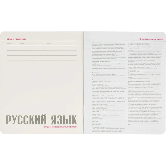 Тетрадь предметная 10 шт/набор, СЕРИЯ MONOCOLOR, 7-48-1401/26