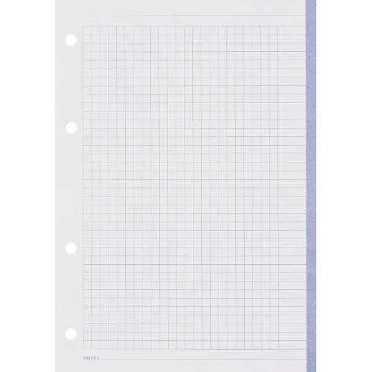 Сменный блок для тетрадей на кольцах, BeSmart А5 120л клетка Цветной N001d