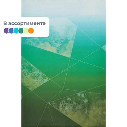 Тетрадь общая А4,48л,кл,скоб,офсет-2 Ice син/зел