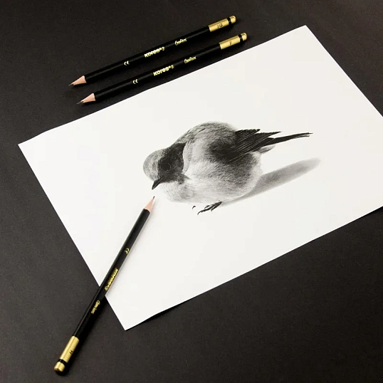 Набор карандашей чернографитных Kores GRAFITOS,трехгр.12 шт.(2Н-8В), 92162