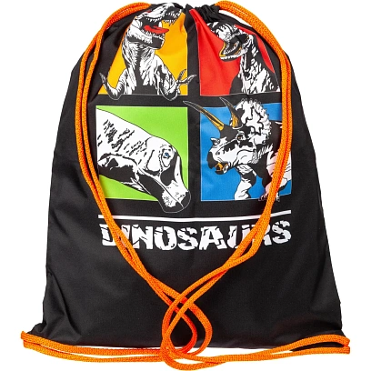 Мешок для обуви Dinosaurs, 330x420 мм, МО-20