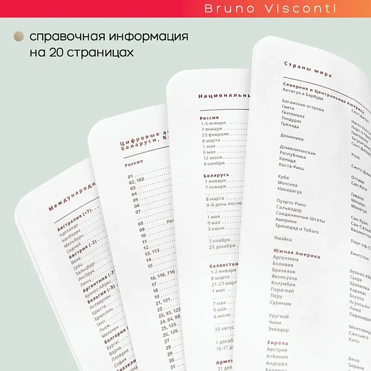 Ежедневник недатированный А5 Mercury белый 272 стр. 3-435/14