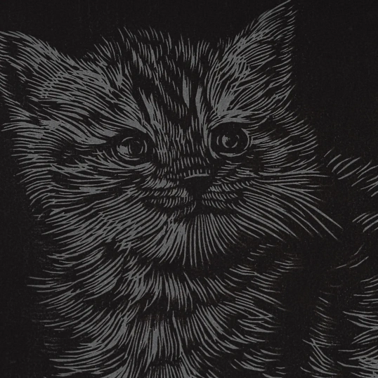 Гравюра набор для творчества Little ANIMALS Котенок британец, Гр-535