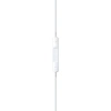 Наушники Apple EarPods с разъёмом Lightning (MWTY3)