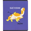 Тетрадь предметная набор Комус Класс  Котики 12 шт., 48., А5