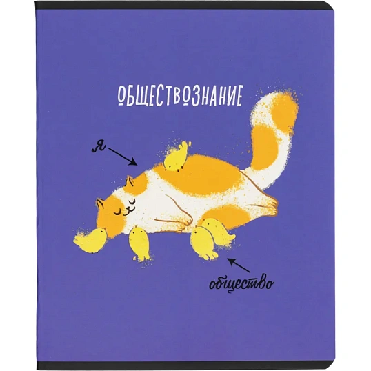 Тетрадь предметная набор Комус Класс  Котики 12 шт., 48., А5