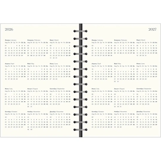 Ежедневник датированный 2026 IF 14х20см 160л, на спир, Basic I1751emb/black