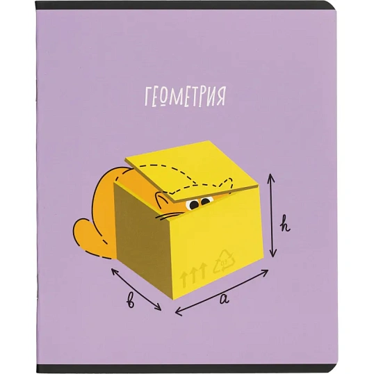 Тетрадь предметная набор Комус Класс  Котики 12 шт., 48., А5
