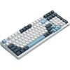 Клавиатура A4Tech Fstyler(FS300 PANDA SNOWBOARDING)мех.бел/син USB gam.LED