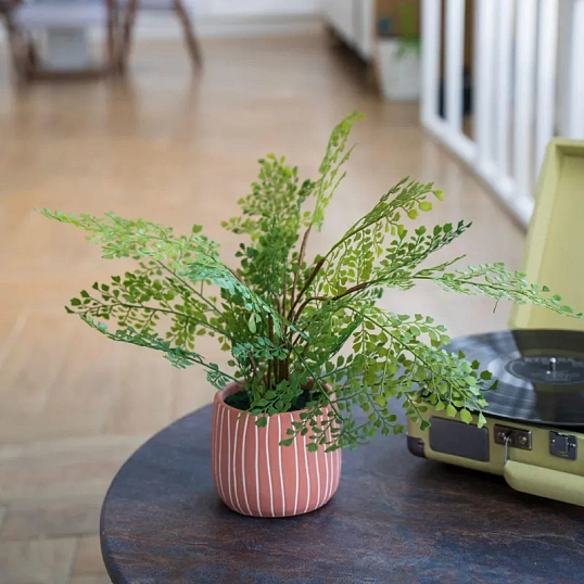 Цветок искусственный Папоротник курчавый в керам горшке,Д120Ш120 В480,Mia11